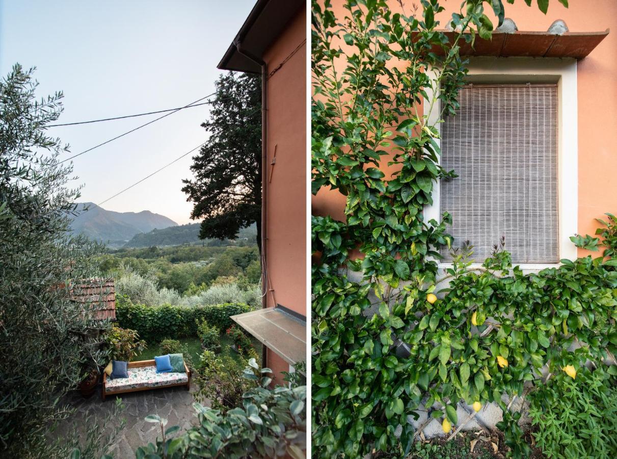 Casetta Di Butia, Gelsomino Apartment Borgo a Mozzano Zewnętrze zdjęcie