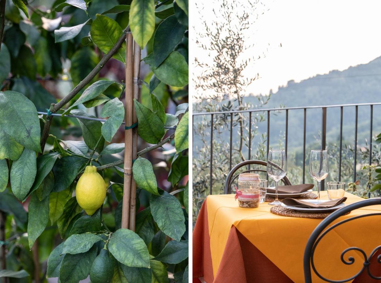Casetta Di Butia, Gelsomino Apartment Borgo a Mozzano Zewnętrze zdjęcie