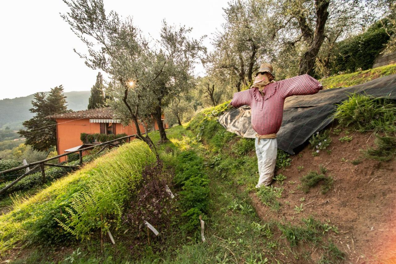 Casetta Di Butia, Gelsomino Apartment Borgo a Mozzano Zewnętrze zdjęcie