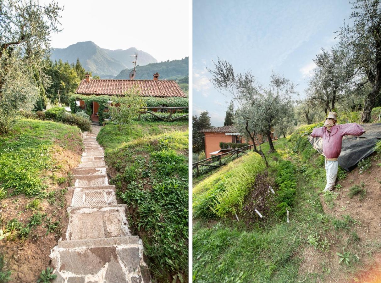 Casetta Di Butia, Gelsomino Apartment Borgo a Mozzano Zewnętrze zdjęcie